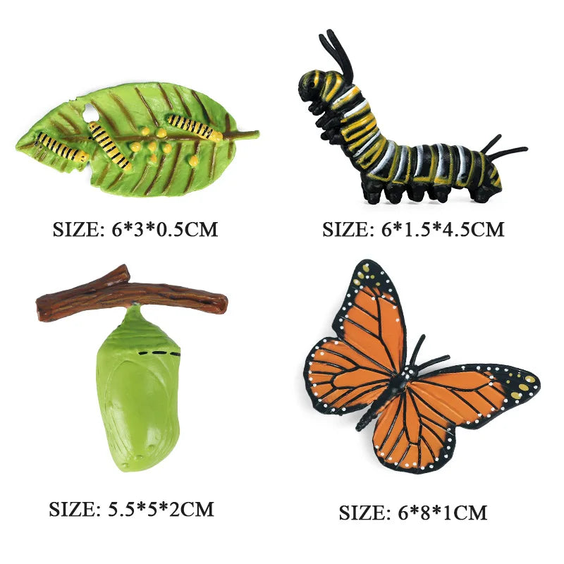 Oenux Simulation Luna Moth Salmon Butterfly Ants Life Growth Cycle Animals Model Action Figures Educational Miniature Kids Toy