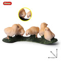Oenux Lovely Farm Animals Hen Turkey Chook Chicken Cock Action Figure Model Figurines Poultry Miniature Educational PVC Kid Toy