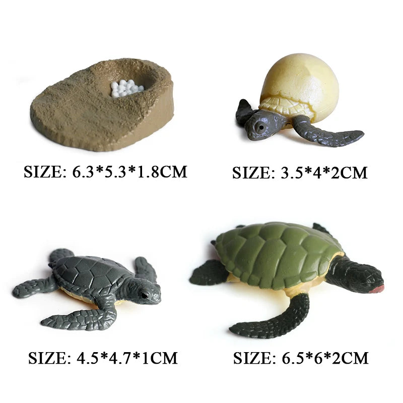 Oenux Simulation Luna Moth Salmon Butterfly Ants Life Growth Cycle Animals Model Action Figures Educational Miniature Kids Toy