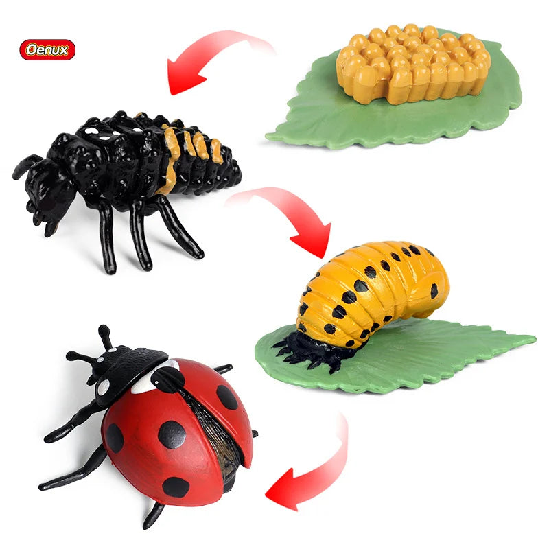 Oenux Simulation Luna Moth Salmon Butterfly Ants Life Growth Cycle Animals Model Action Figures Educational Miniature Kids Toy