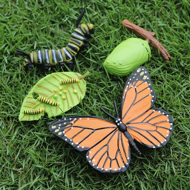 Oenux Simulation Luna Moth Salmon Butterfly Ants Life Growth Cycle Animals Model Action Figures Educational Miniature Kids Toy