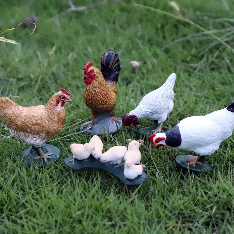 Oenux Lovely Farm Animals Hen Turkey Chook Chicken Cock Action Figure Model Figurines Poultry Miniature Educational PVC Kid Toy