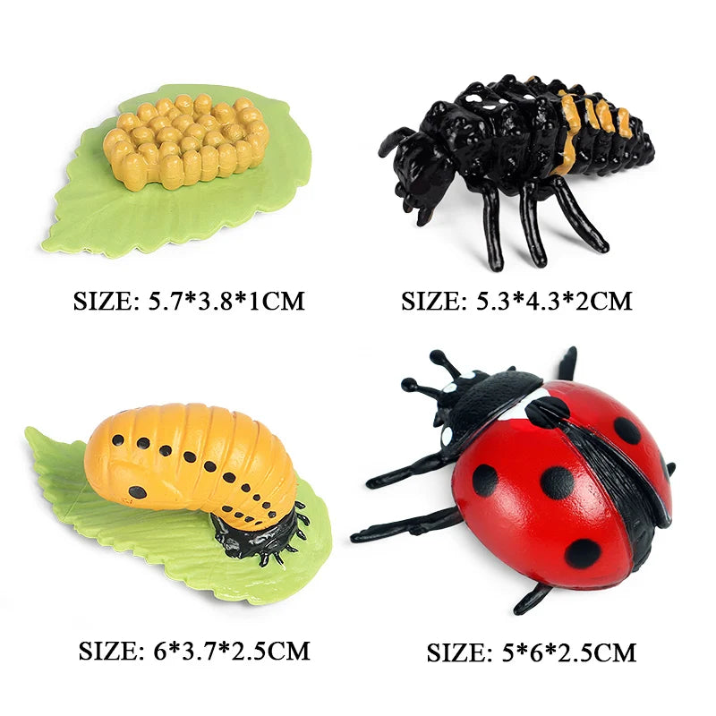 Oenux Simulation Luna Moth Salmon Butterfly Ants Life Growth Cycle Animals Model Action Figures Educational Miniature Kids Toy