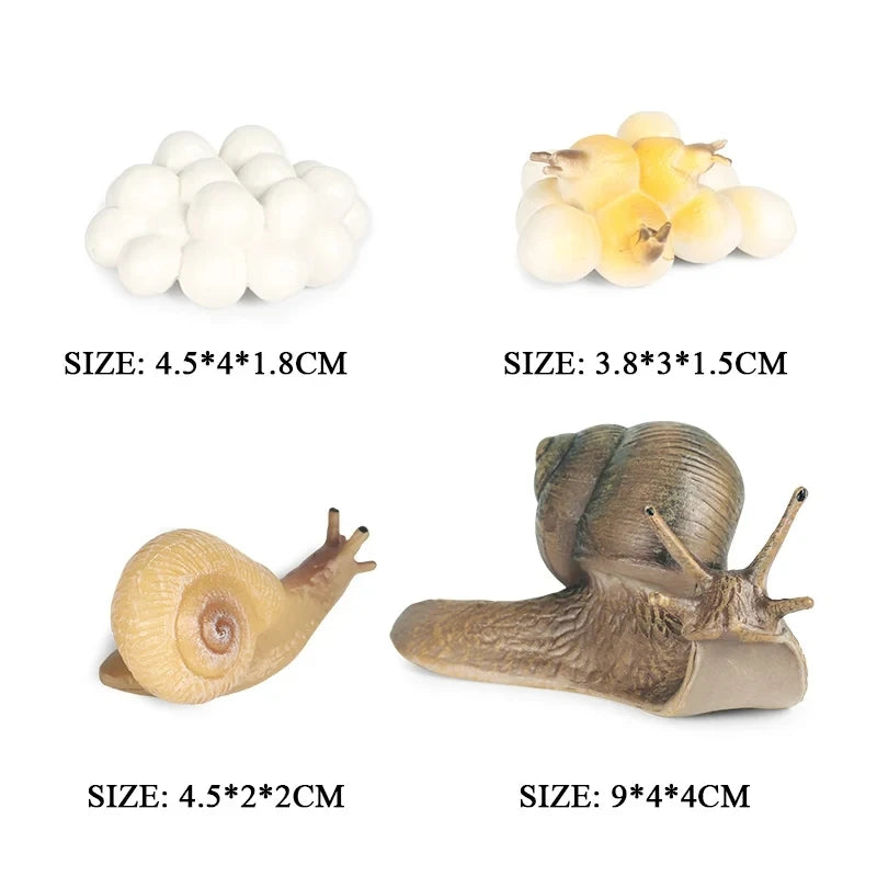 Oenux Simulation Luna Moth Salmon Butterfly Ants Life Growth Cycle Animals Model Action Figures Educational Miniature Kids Toy