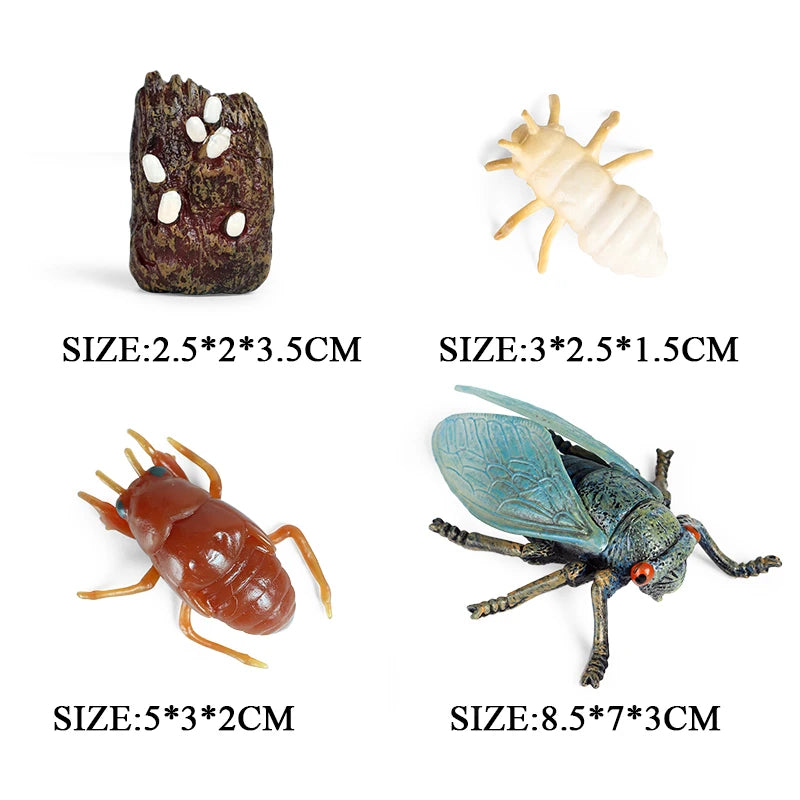 Oenux Simulation Luna Moth Salmon Butterfly Ants Life Growth Cycle Animals Model Action Figures Educational Miniature Kids Toy