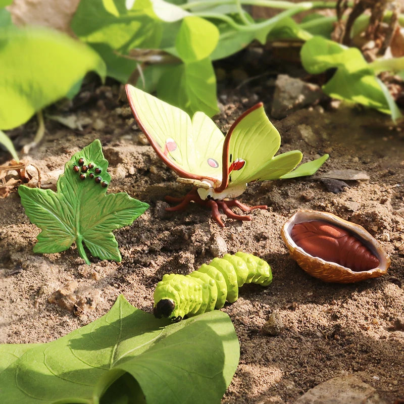 Oenux Simulation Luna Moth Salmon Butterfly Ants Life Growth Cycle Animals Model Action Figures Educational Miniature Kids Toy
