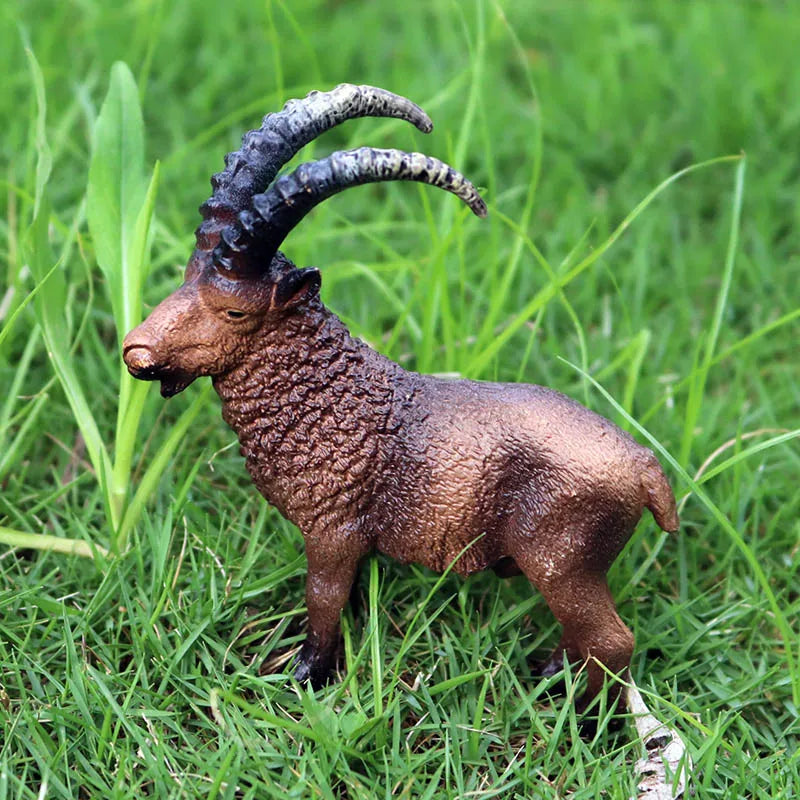Oenux Classic Farm Animal Simulation Sheep Goat Argali Antelope Model Action Figure Poultry Figurines Cute Toy For Kid Gift