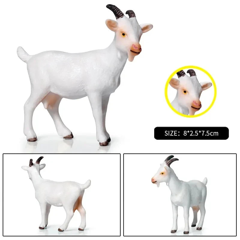 Oenux Classic Farm Animal Simulation Sheep Goat Argali Antelope Model Action Figure Poultry Figurines Cute Toy For Kid Gift