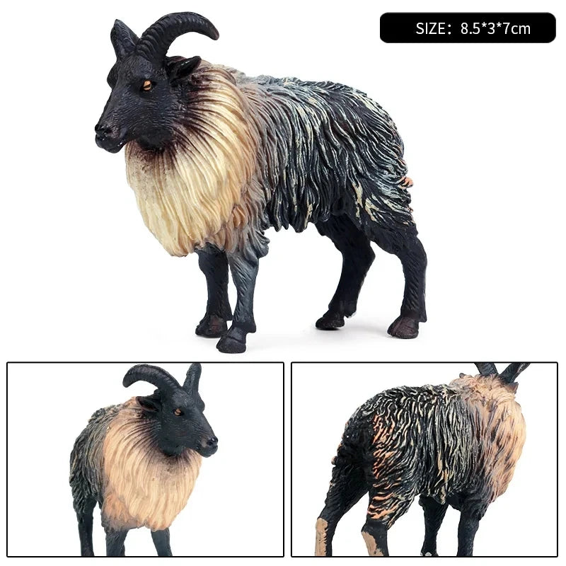 Oenux Classic Farm Animal Simulation Sheep Goat Argali Antelope Model Action Figure Poultry Figurines Cute Toy For Kid Gift