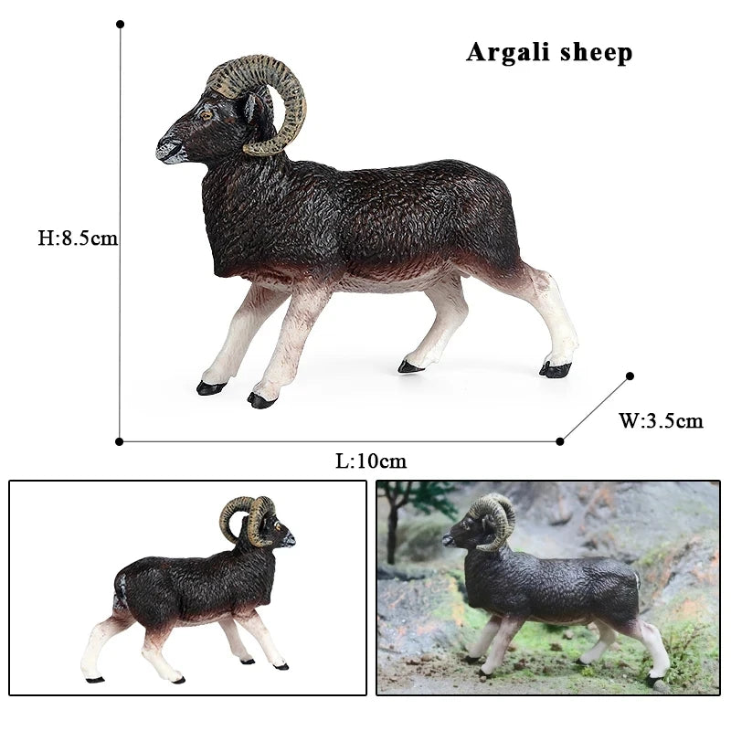 Oenux Classic Farm Animal Simulation Sheep Goat Argali Antelope Model Action Figure Poultry Figurines Cute Toy For Kid Gift