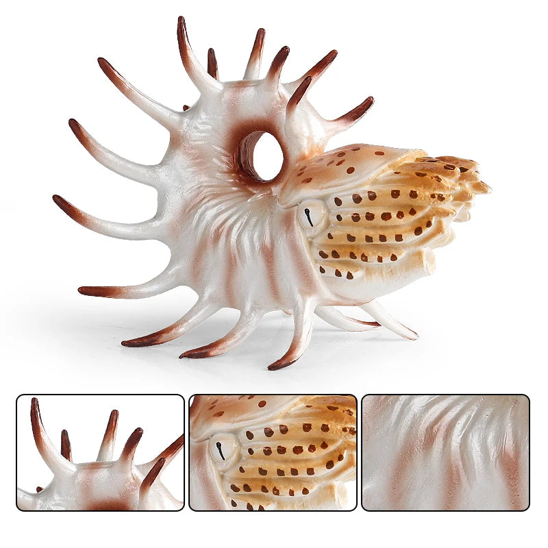 Oenux Sea Life Animals Coral Octopus Nautiloidea Crab Starfish Ocean Model Action Figures Educational Collection Toy Kid Gift