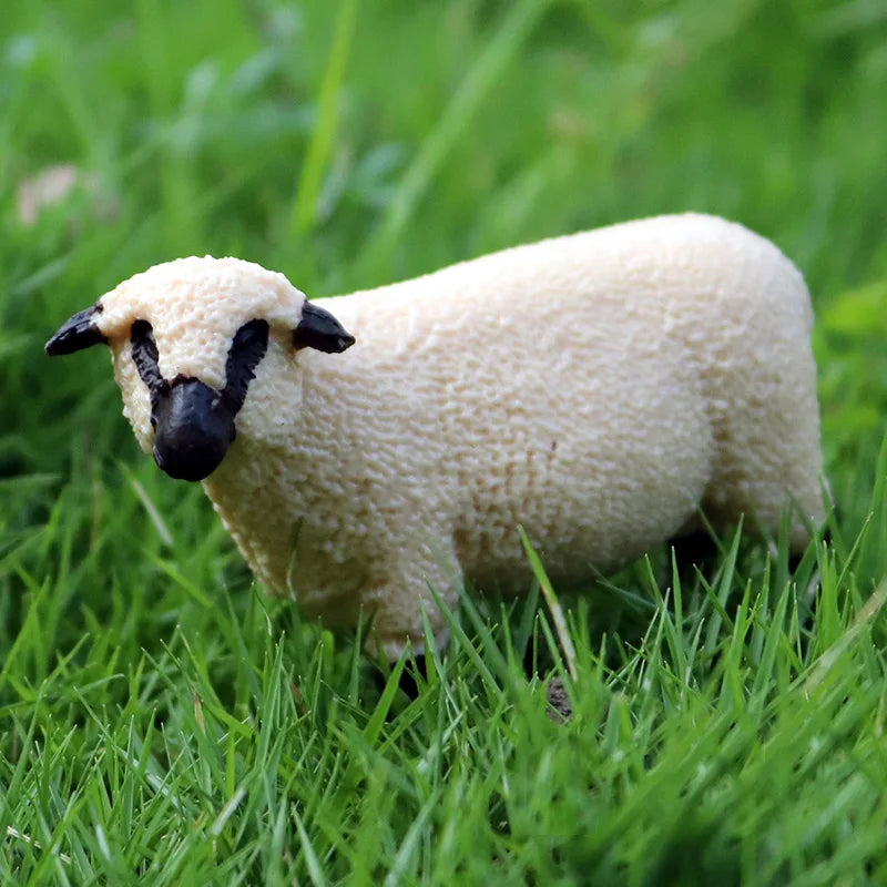 Oenux Classic Farm Animal Simulation Sheep Goat Argali Antelope Model Action Figure Poultry Figurines Cute Toy For Kid Gift