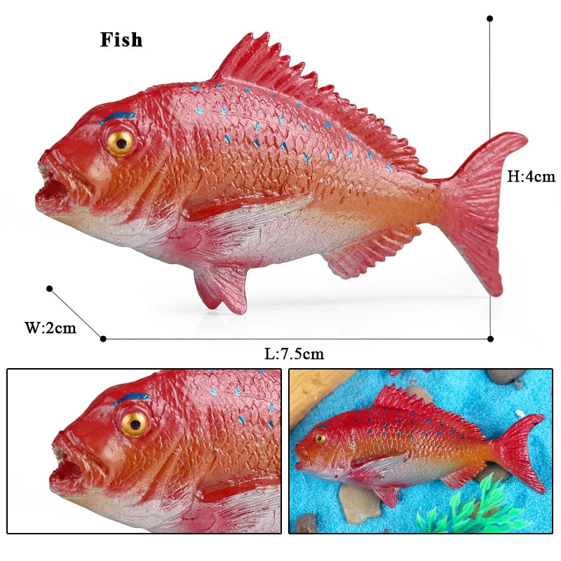 Oenux Sea Life Animals Coral Octopus Nautiloidea Crab Starfish Ocean Model Action Figures Educational Collection Toy Kid Gift