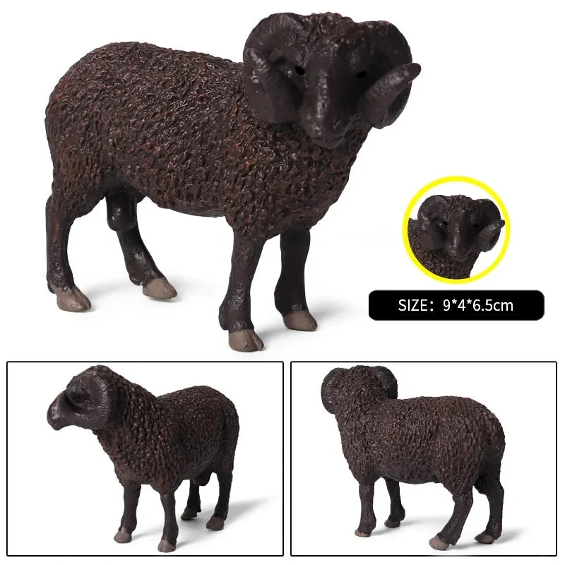Oenux Classic Farm Animal Simulation Sheep Goat Argali Antelope Model Action Figure Poultry Figurines Cute Toy For Kid Gift