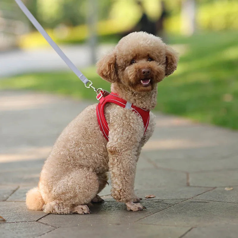 Puppy Harness Set Dog Accessories Adjustable Puppy and Cat Harness Vest French Bulldog Chihuahua Small Dog Collar Pet Leash Dogs