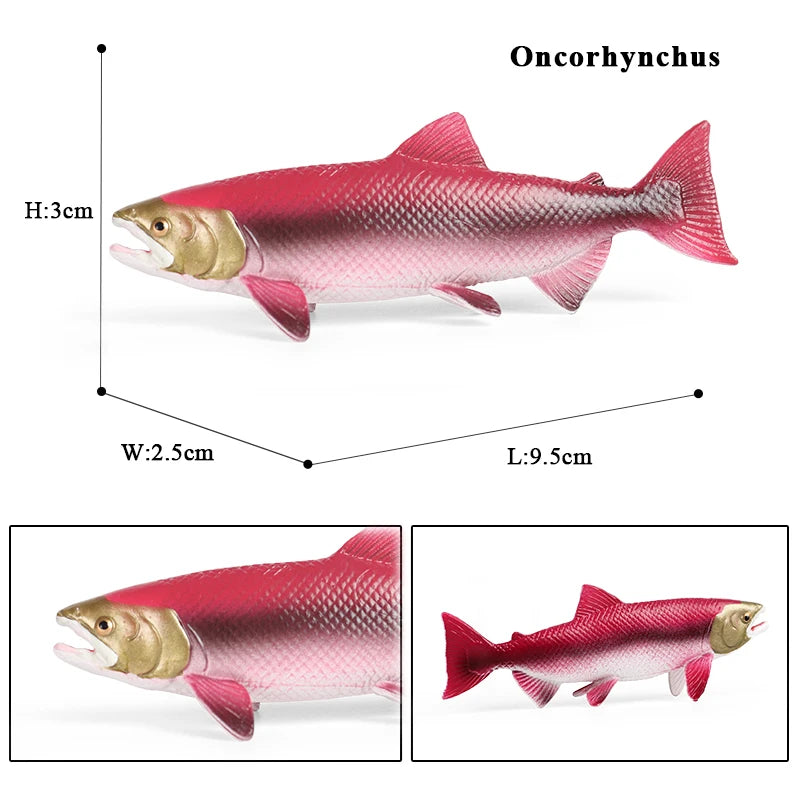 Oenux Sea Life Animals Coral Octopus Nautiloidea Crab Starfish Ocean Model Action Figures Educational Collection Toy Kid Gift
