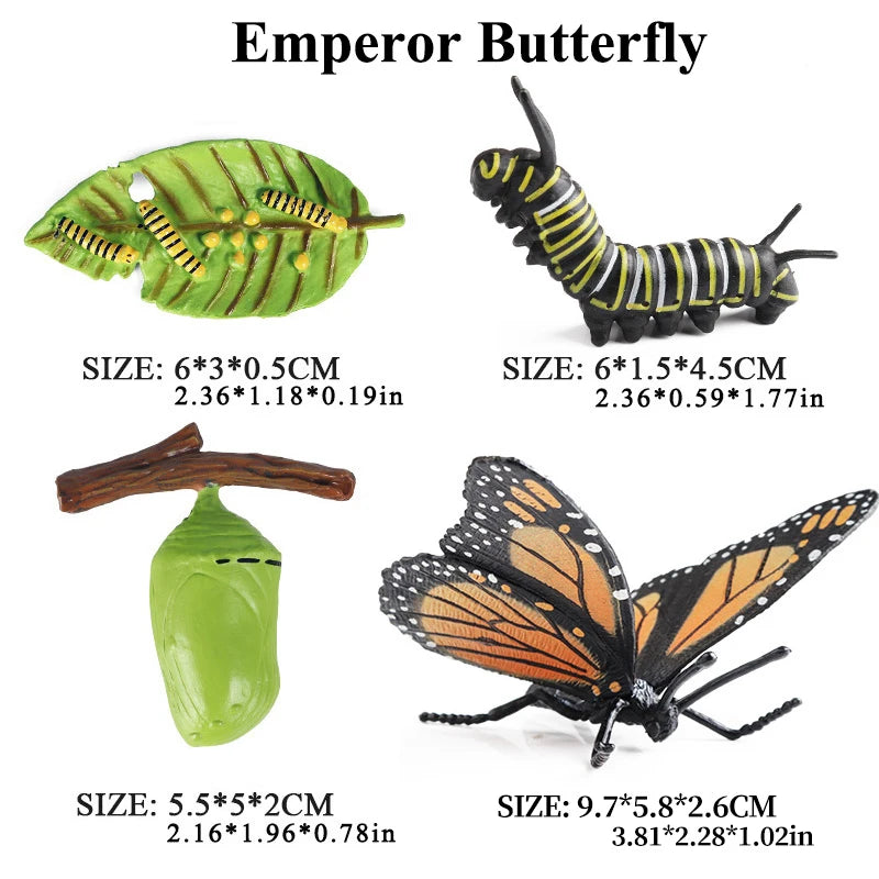 Oenux Simulation Luna Moth Salmon Butterfly Ants Life Growth Cycle Animals Model Action Figures Educational Miniature Kids Toy