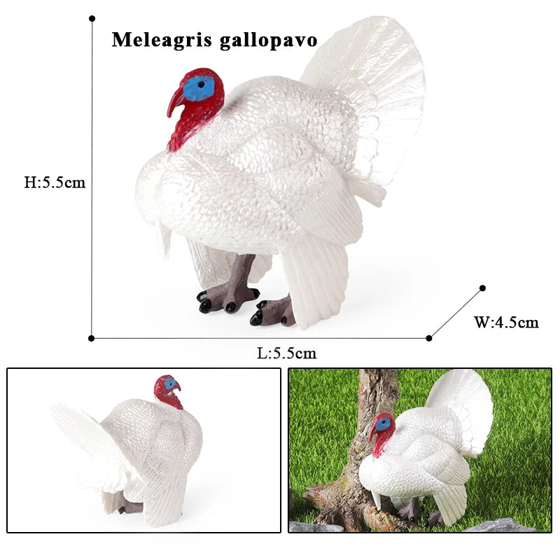 Oenux Lovely Farm Animals Hen Turkey Chook Chicken Cock Action Figure Model Figurines Poultry Miniature Educational PVC Kid Toy