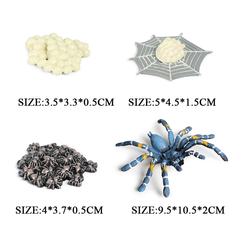 Oenux Simulation Luna Moth Salmon Butterfly Ants Life Growth Cycle Animals Model Action Figures Educational Miniature Kids Toy