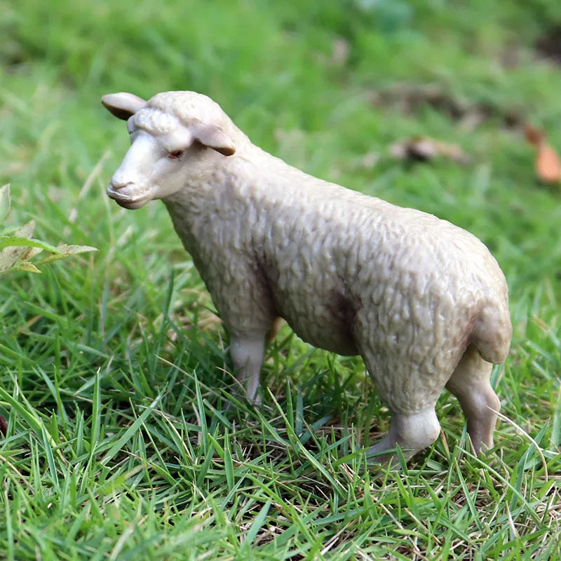 Oenux Classic Farm Animal Simulation Sheep Goat Argali Antelope Model Action Figure Poultry Figurines Cute Toy For Kid Gift
