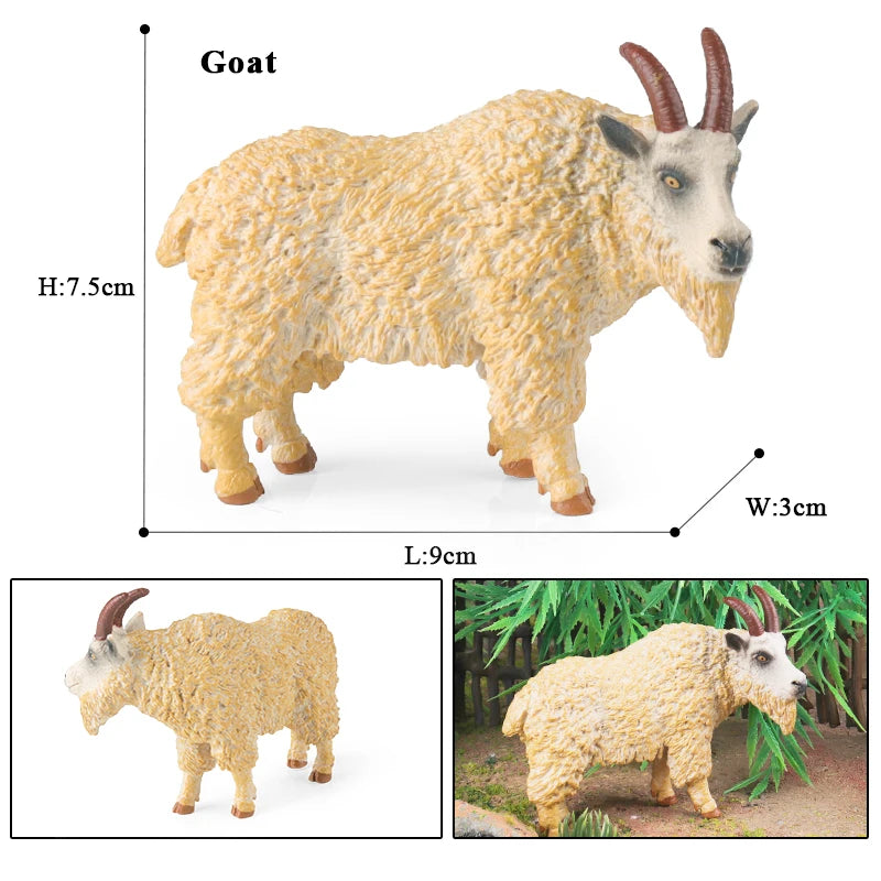 Oenux Classic Farm Animal Simulation Sheep Goat Argali Antelope Model Action Figure Poultry Figurines Cute Toy For Kid Gift