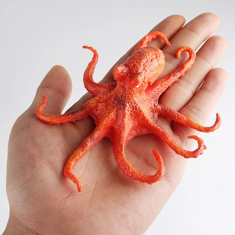 Oenux Sea Life Animals Coral Octopus Nautiloidea Crab Starfish Ocean Model Action Figures Educational Collection Toy Kid Gift