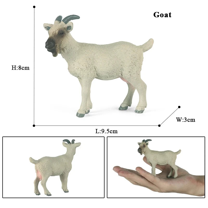 Oenux Classic Farm Animal Simulation Sheep Goat Argali Antelope Model Action Figure Poultry Figurines Cute Toy For Kid Gift