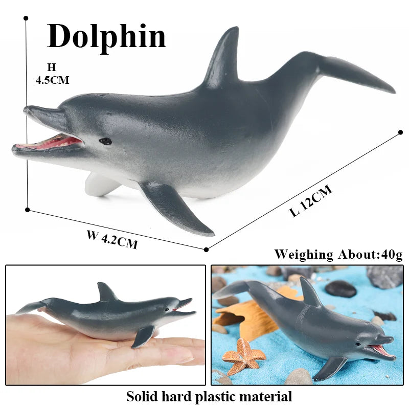 Oenux Sea Life Animals Coral Octopus Nautiloidea Crab Starfish Ocean Model Action Figures Educational Collection Toy Kid Gift