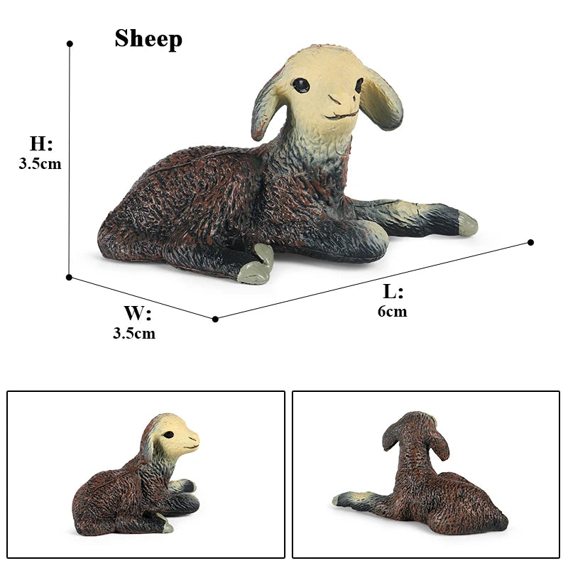 Oenux Classic Farm Animal Simulation Sheep Goat Argali Antelope Model Action Figure Poultry Figurines Cute Toy For Kid Gift