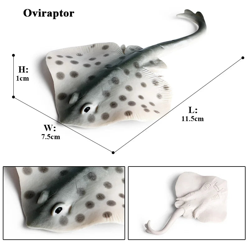 Oenux Sea Life Animals Coral Octopus Nautiloidea Crab Starfish Ocean Model Action Figures Educational Collection Toy Kid Gift