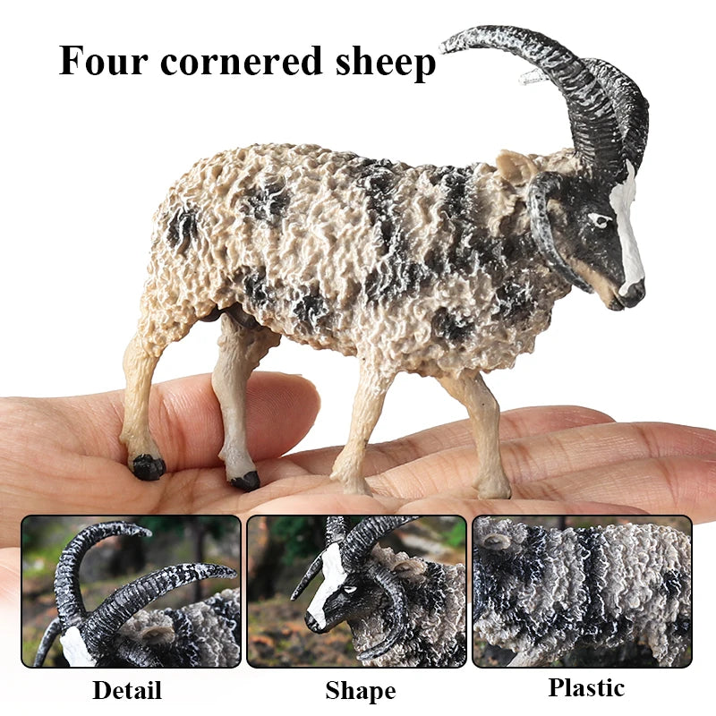 Oenux Classic Farm Animal Simulation Sheep Goat Argali Antelope Model Action Figure Poultry Figurines Cute Toy For Kid Gift