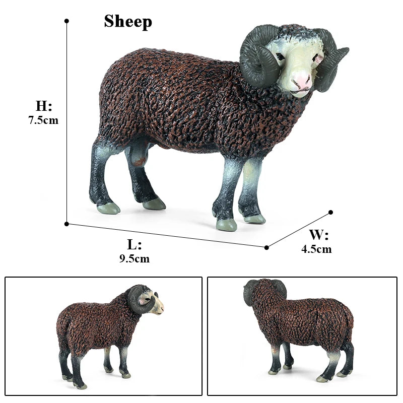 Oenux Classic Farm Animal Simulation Sheep Goat Argali Antelope Model Action Figure Poultry Figurines Cute Toy For Kid Gift