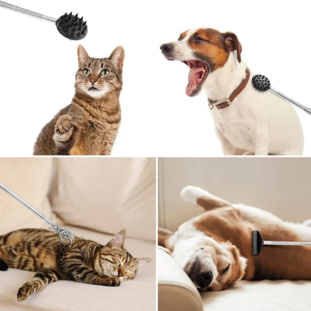 Extendable Cactus Back Scratcher with 1/4-inch & 1/2-inch Spikes, Retractable One-Hand Itch Stick for Men & Women, Durable PVC