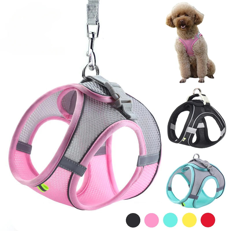 Puppy Harness Set Dog Accessories Adjustable Puppy and Cat Harness Vest French Bulldog Chihuahua Small Dog Collar Pet Leash Dogs
