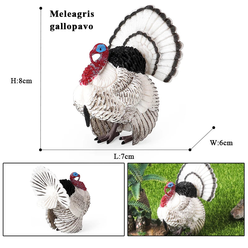 Oenux Lovely Farm Animals Hen Turkey Chook Chicken Cock Action Figure Model Figurines Poultry Miniature Educational PVC Kid Toy