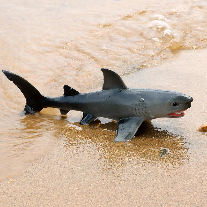 Oenux Ocean Animals Action Figures Sealife Shark Whare Megalodon Model Figurines PVC Home Decoration Kid Cognitive Education Toy