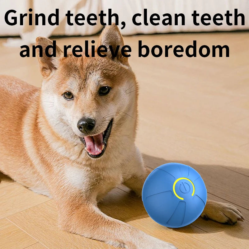 Smart Dog Toy Ball Automatic Interactive Pet Electronic Rolling USB Rechargeable Moving Bouncing for Puppy to Large Dog Chew Toy