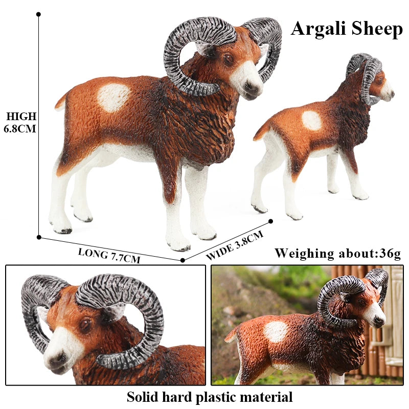 Oenux Classic Farm Animal Simulation Sheep Goat Argali Antelope Model Action Figure Poultry Figurines Cute Toy For Kid Gift