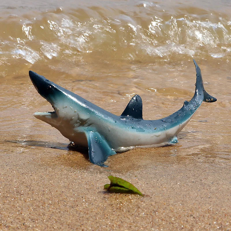 Oenux Ocean Animals Action Figures Sealife Shark Whare Megalodon Model Figurines PVC Home Decoration Kid Cognitive Education Toy