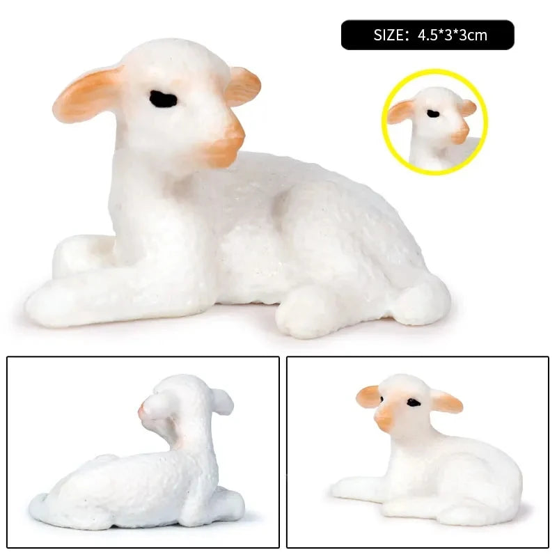 Oenux Classic Farm Animal Simulation Sheep Goat Argali Antelope Model Action Figure Poultry Figurines Cute Toy For Kid Gift