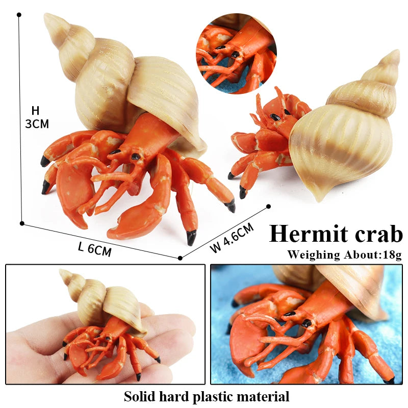 Oenux Sea Life Animals Coral Octopus Nautiloidea Crab Starfish Ocean Model Action Figures Educational Collection Toy Kid Gift