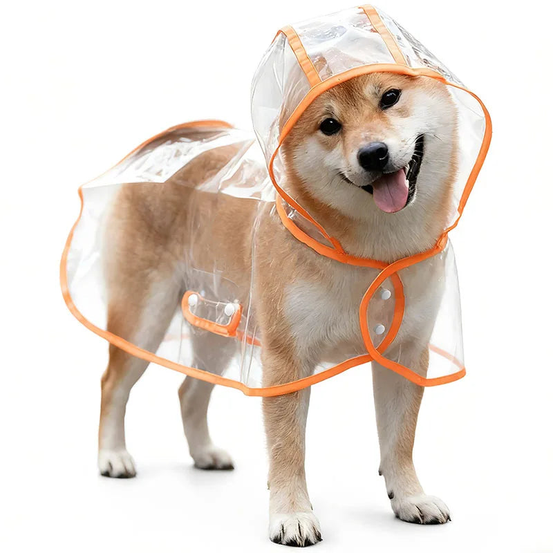 S/Xl Pet Raincoat Transparent Dog Raincoat Waterproof and Windproof Pet Clothing Large Dog Pet Dog Dog Costume