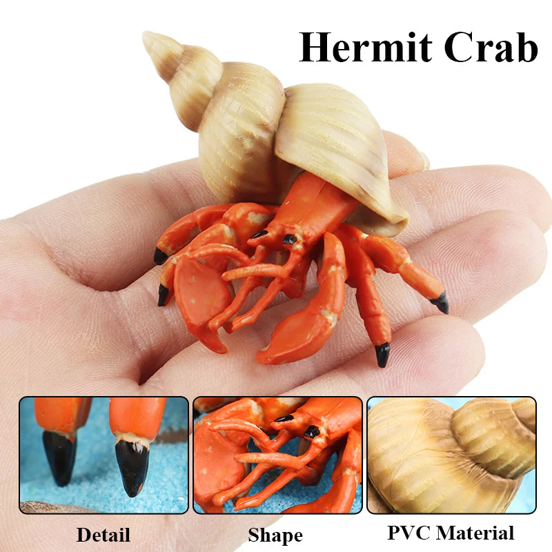Oenux Sea Life Animals Coral Octopus Nautiloidea Crab Starfish Ocean Model Action Figures Educational Collection Toy Kid Gift