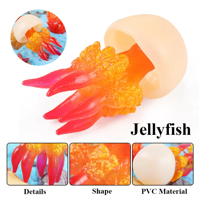 Oenux Sea Life Animals Coral Octopus Nautiloidea Crab Starfish Ocean Model Action Figures Educational Collection Toy Kid Gift