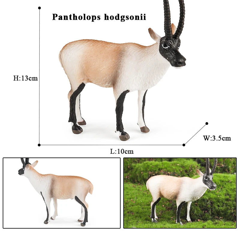 Oenux Classic Farm Animal Simulation Sheep Goat Argali Antelope Model Action Figure Poultry Figurines Cute Toy For Kid Gift