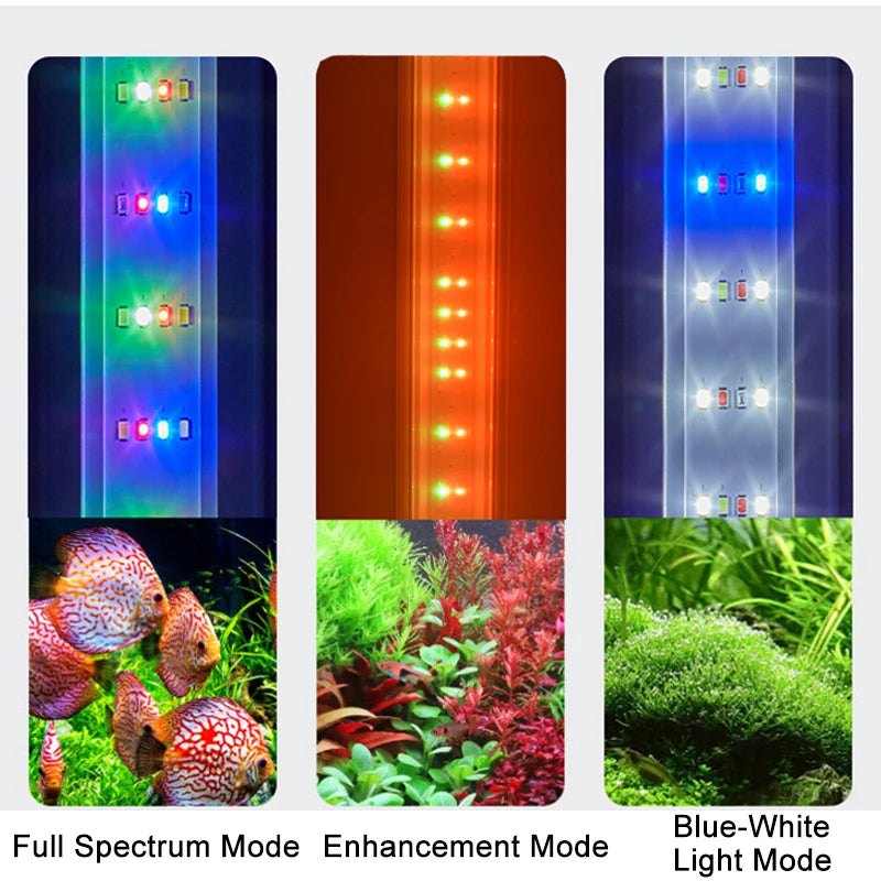USB Fish Tank Clip Light, Dimmable Color, LED Aquarium Light for Aquatic Plant Grow Landscapes Decoration with Timer Function