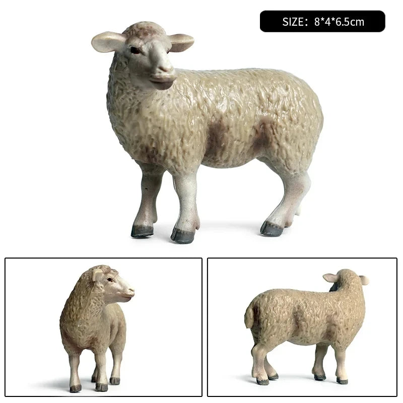 Oenux Classic Farm Animal Simulation Sheep Goat Argali Antelope Model Action Figure Poultry Figurines Cute Toy For Kid Gift