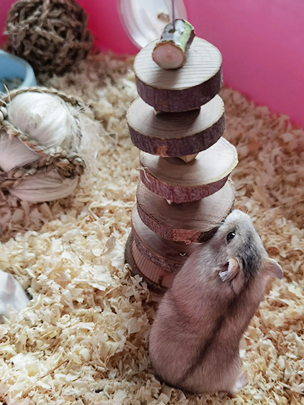 1pc-Simple wooden apple wood chew toy rabbit, chew stick, round wood teeth grinding rope, small pet toy