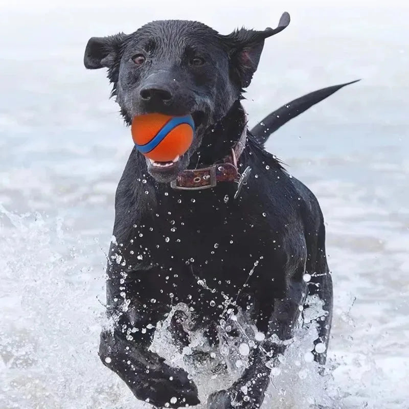 Dog Toy Ball Dog Fetch Ball Toy Tough Pet Ball Puppy Chew Toy Solid Elastic Jumping Ball Pet Accessories For Large Medium Small