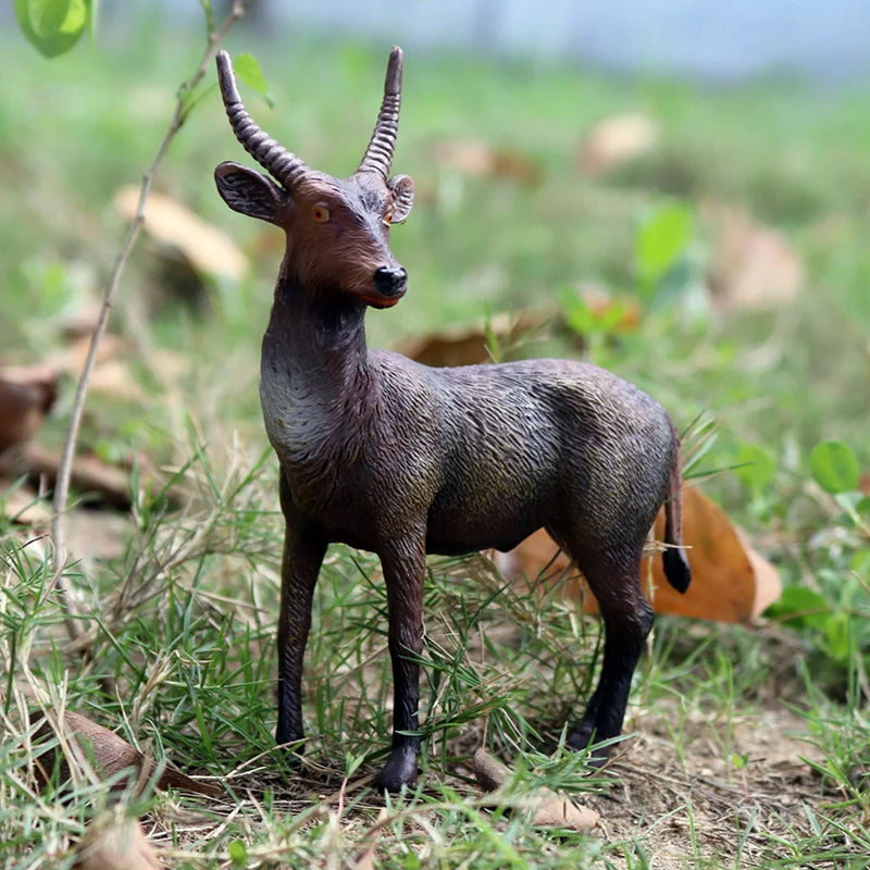 Oenux Classic Farm Animal Simulation Sheep Goat Argali Antelope Model Action Figure Poultry Figurines Cute Toy For Kid Gift